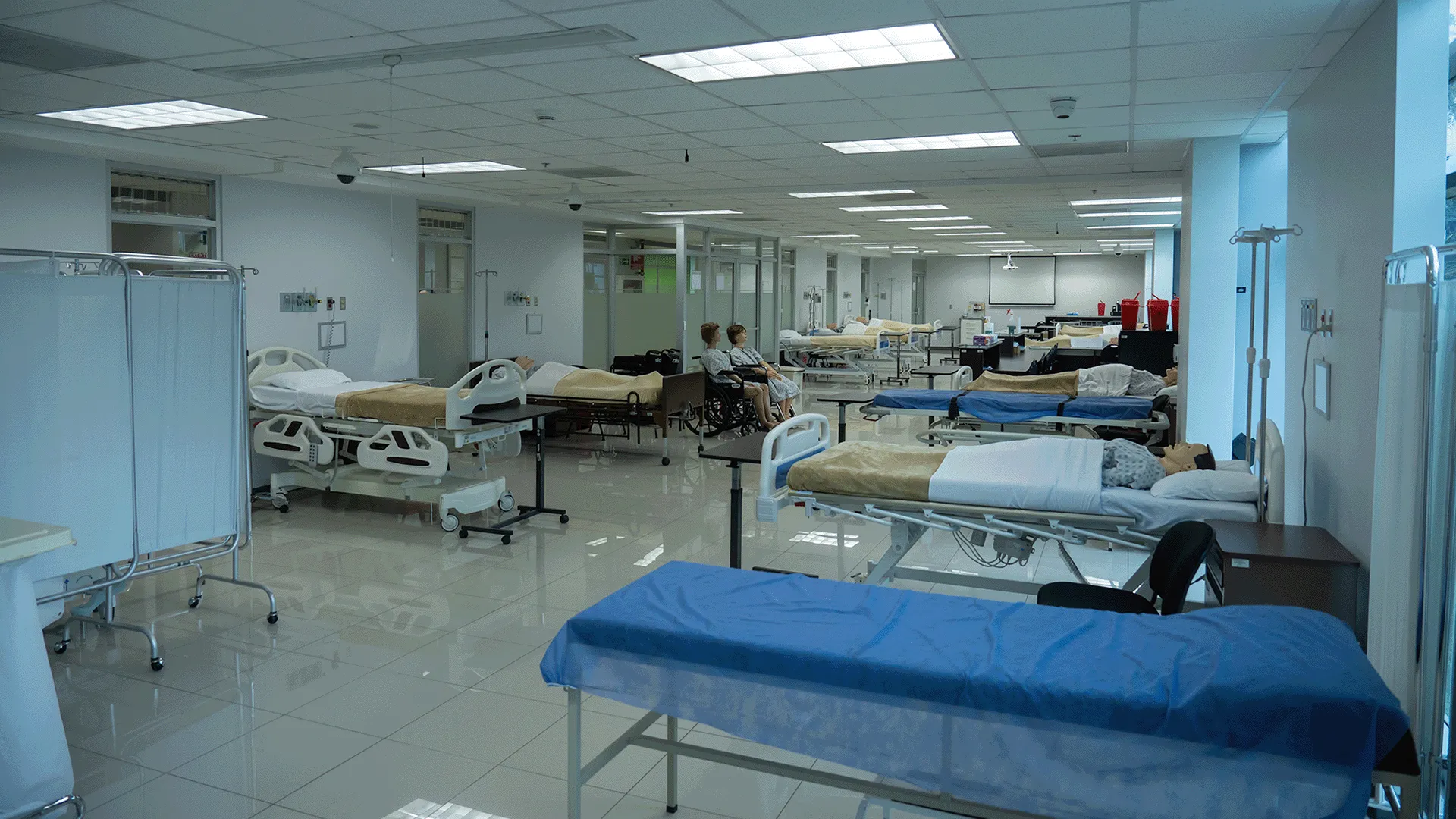 Galer&iacute;a imagen 1